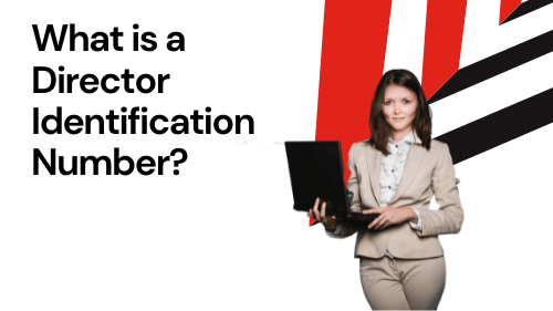 what is a director identification number